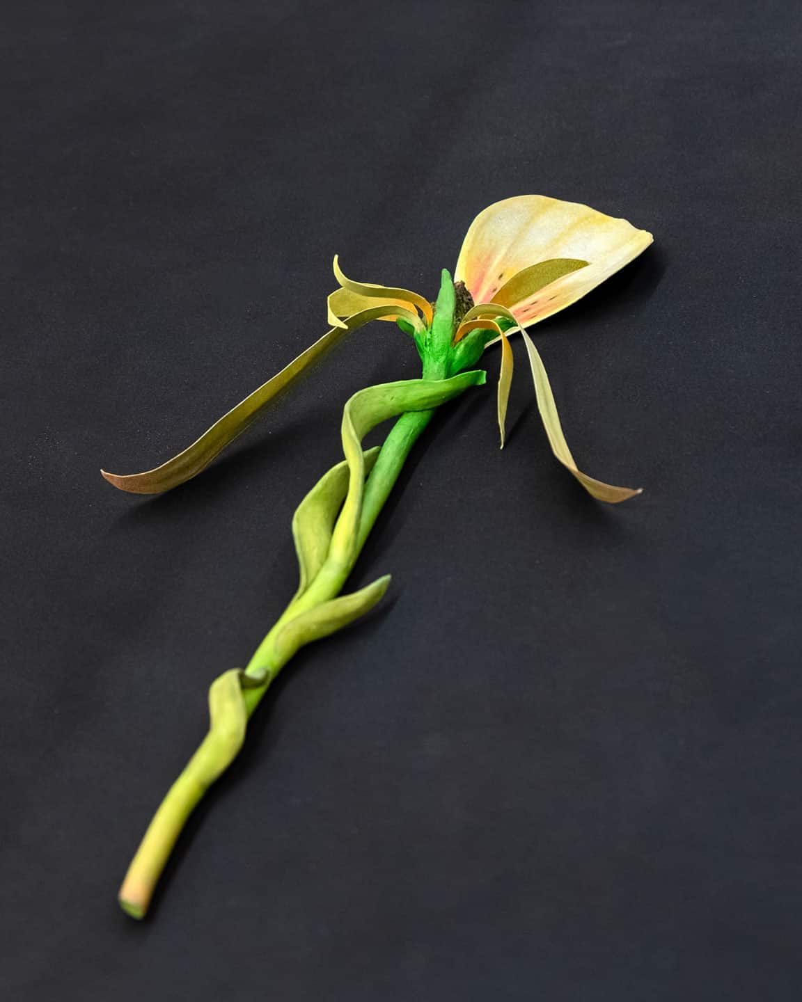 Giving Entry at NAMARA projects